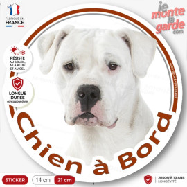 Dogue Argentin Tête, sticker autocollant rond "Chien à Bord" Disque adhésif photo vitre voiture chien Dogo, résiste extérieur