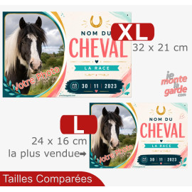 Plaque de box cheval (ou autre animal) personnalisée avec photo, nom, race et date, Girly, 2 Tailles🇫🇷