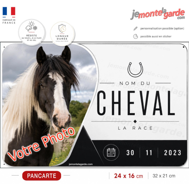 Plaque de box personnalisée Graphite avec photo, nom, race et date de naissance de votre cheval, fabriquée en France