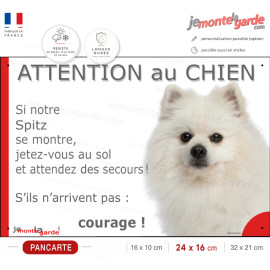 Spitz Nain blanc, plaque portail humour "Attention au Chien, Jetez Vous au Sol, attendez secours" résiste extérieur