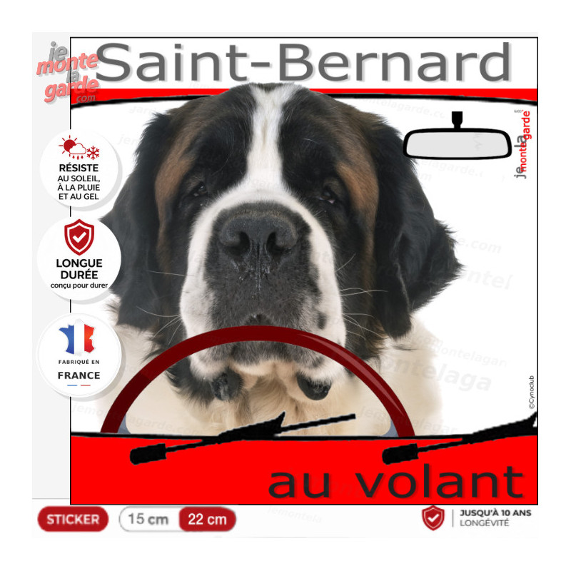 "Saint-Bernard au volant" panneau autocollant humoristique voiture photo chien à bord St-Bernard, RÉSISTE EXTÉRIEUR