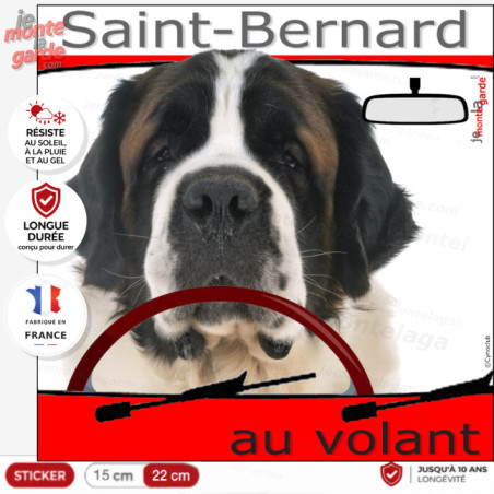 "Saint-Bernard au volant" panneau autocollant humoristique voiture photo chien à bord St-Bernard, RÉSISTE EXTÉRIEUR