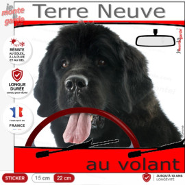 "Terre Neuve noir au volant" panneau autocollant humoristique voiture photo chien à bord, résiste à l'extérieur
