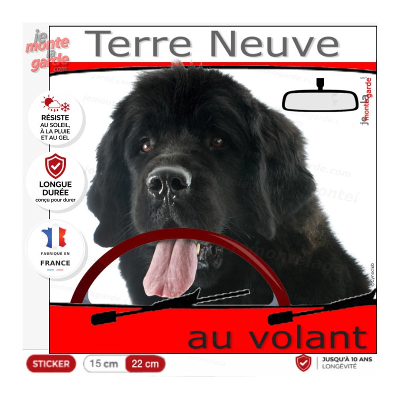 "Terre Neuve noir au volant" panneau autocollant humoristique voiture photo chien à bord, résiste à l'extérieur
