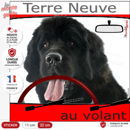 "Terre Neuve noir au volant" panneau autocollant humoristique voiture photo chien à bord, résiste à l'extérieur