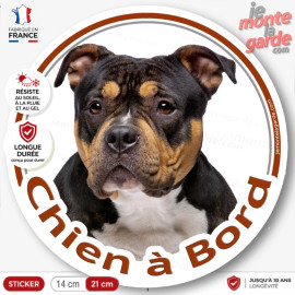 American Bully tricolore, blanc, noir et feu, sticker autocollant voiture rond "Chien à Bord" photo, résiste dehors