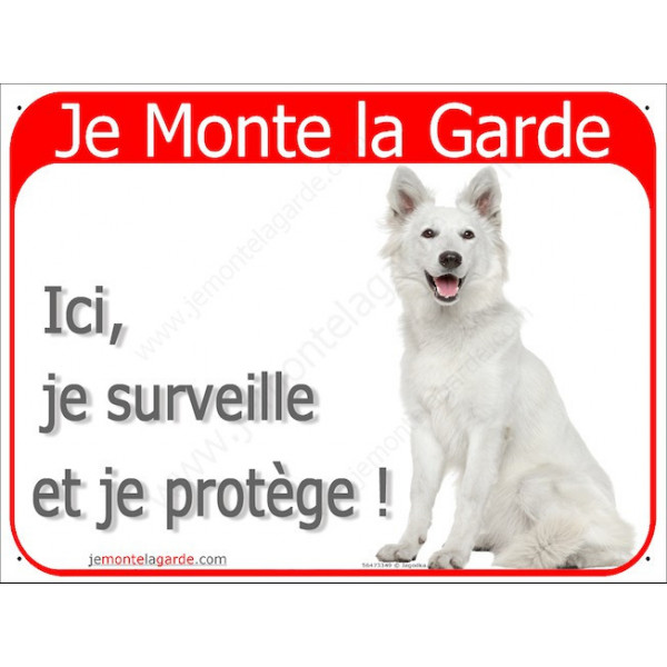 Berger Blanc Suisse Assis, Plaque Portail rouge Je Monte la Garde, surveille protège, pancarte, panneau attention au chien