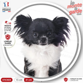 Chihuahua noir et blanc poils longs, sticker autocollant rond "photo" résiste extérieur, idée cadeau, fabriqué en France