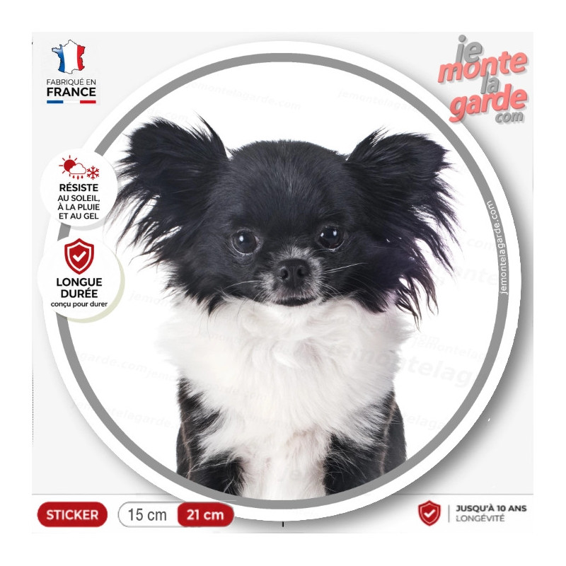 Chihuahua noir et blanc poils longs, sticker autocollant rond "photo" résiste extérieur, idée cadeau, fabriqué en France Chihuahua noir et blanc poils longs, sticker autocollant rond "photo" résiste extérieur, idée cadeau, fabriqué en France