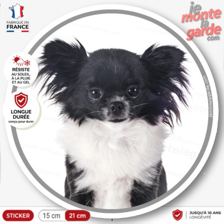 Chihuahua noir et blanc, sticker rond "photo" résiste extérieur, 2 Tailles 🇫🇷 Chihuahua noir et blanc, sticker rond "photo" résiste extérieur, 2 Tailles 🇫🇷