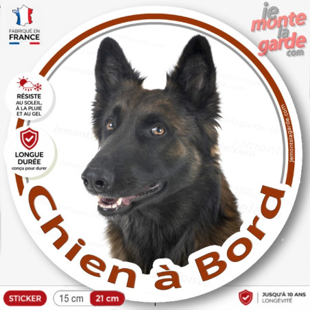 Berger Belge Tervuren lignée travail, sticker autocollant rond "Chien à Bord" adhésif voiture souche Tervuren, résiste dehors