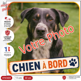 Photo personnalisable, photo autocollant carré "Chien à Bord" Sticker DENVER sur mesure vitre voiture, résiste dehors