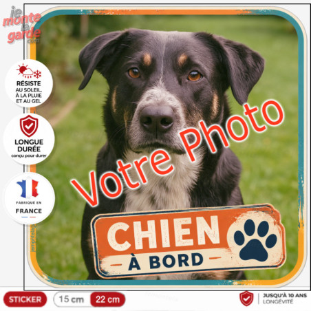 Photo personnalisable, photo autocollant carré "Chien à Bord" Sticker NEVADA sur mesure vitre voiture, résiste dehors
