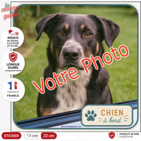 Photo personnalisable, photo autocollant carré "Chien à Bord" Sticker JOURNEY sur mesure vitre voiture, résiste à l'extérieur