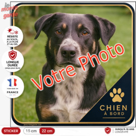 Photo personnalisable, photo autocollant carré "Chien à Bord" Sticker MONACO sur mesure vitre voiture, résiste à l'extérieur