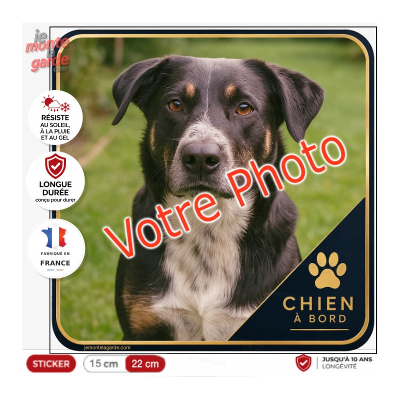 Photo personnalisable, photo autocollant carré "Chien à Bord" Sticker MONACO sur mesure vitre voiture, résiste à l'extérieur