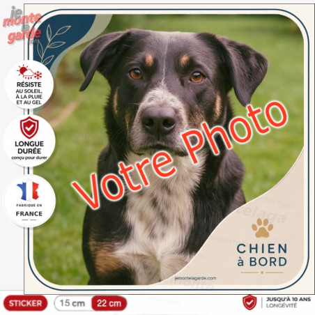 Photo personnalisable, photo autocollant carré "Chien à Bord" Sticker OPALE sur mesure vitre voiture, résiste à l'extérieur