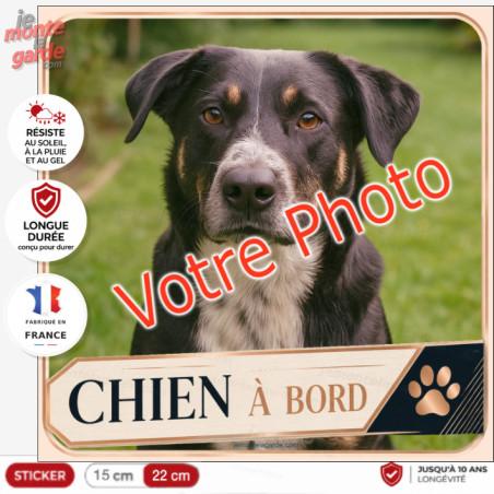 Photo personnalisable, photo autocollant carré "Chien à Bord" Sticker VENDÔME sur mesure vitre voiture, résiste à l'extérieur