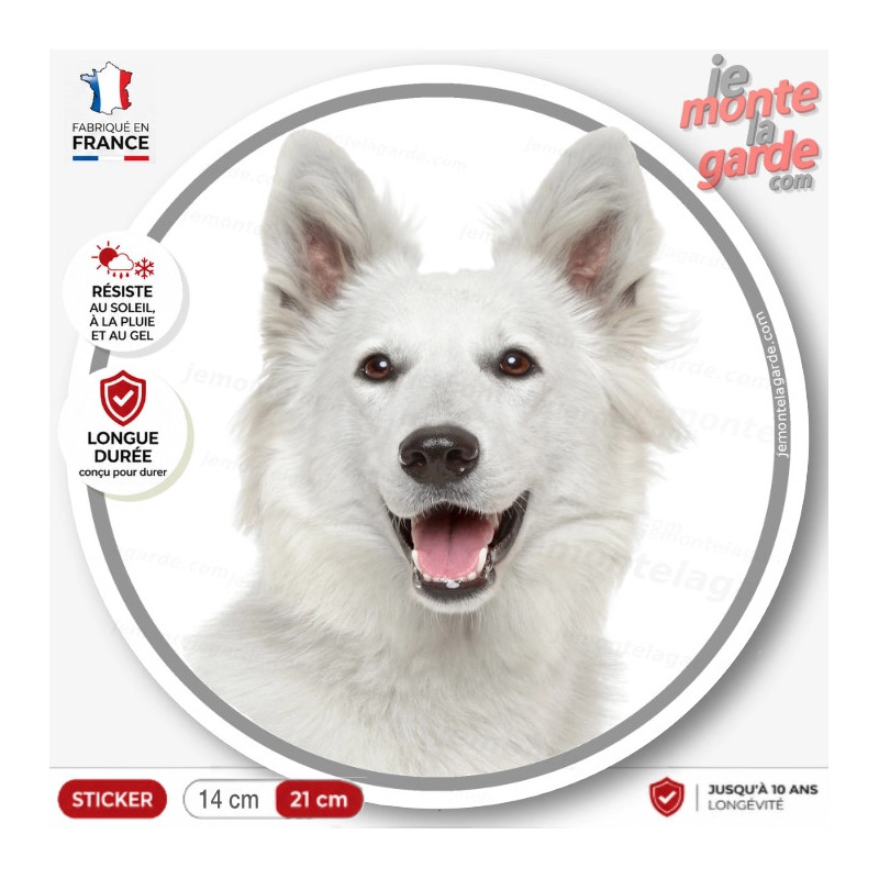 Berger Blanc Suisse, sticker autocollant rond "photo" disque résistant Intempéries, fabriqué en France