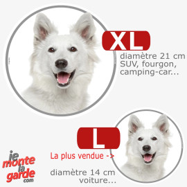 Berger Blanc Suisse, sticker autocollant rond "photo" résiste dehors, 2 Tailles