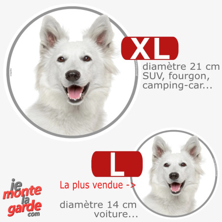 Berger Blanc Suisse, sticker autocollant rond "photo" résiste dehors, 2 Tailles