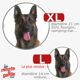 Malinois, disque autocollant rond "photo" résiste dehors, 2 Tailles