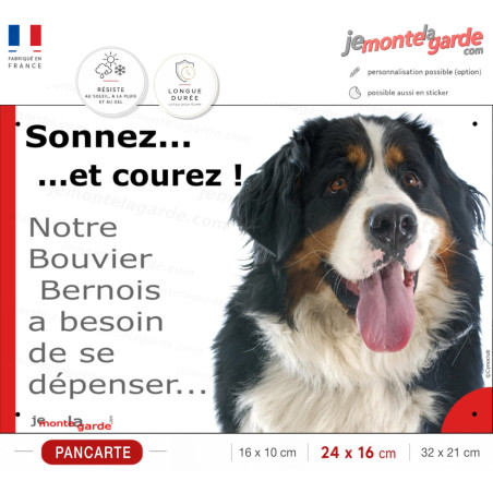 Plaque portail humour "Sonnez et Courez ! Notre Bouvier Bernois besoin dépenser" photo Attention au Chien, résiste extérieur