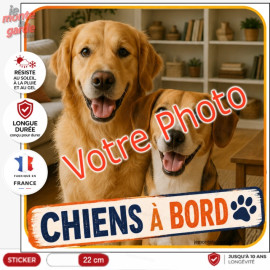 Photo personnalisable, photo autocollant carré PLURIEL "Chiens à Bord" Sticker DENVER sur mesure vitre voiture, résiste dehors