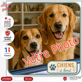 Photo personnalisable, photo autocollant carré PLURIEL "Chiens à Bord" Sticker JOURNEY sur mesure vitre voiture, résiste dehors