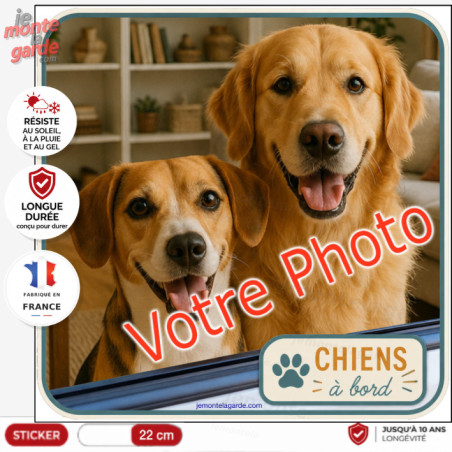 Photo personnalisable, photo autocollant carré PLURIEL "Chiens à Bord" Sticker JOURNEY sur mesure vitre voiture, résiste dehors