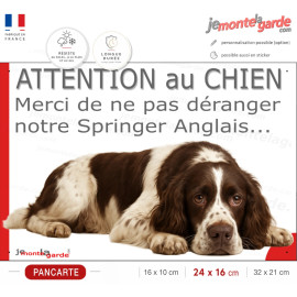 Plaque portail humour "Attention au Chien, Merci de ne pas déranger notre English Springer Spaniel foie" Photo, résiste dehors
