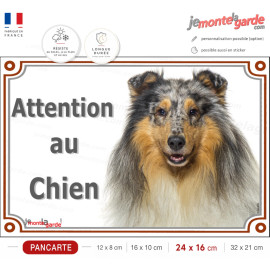 Colley bleu merle Tête, Plaque portail "Attention au Chien" photo