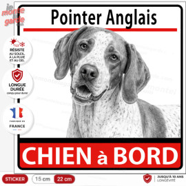 Sticker Pointer Anglais "Chien à bord" – autocollant carré pour voiture, camping-car ou véhicule, résiste dehors