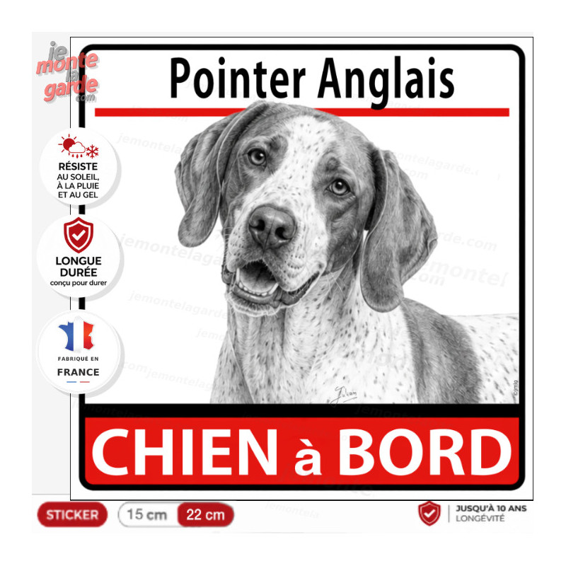 Sticker Pointer Anglais "Chien à bord" – autocollant carré pour voiture, camping-car ou véhicule, résiste dehors