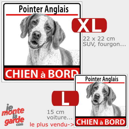 Autocollant voiture "Pointer Anglais à Bord" dessin, 2 Tailles