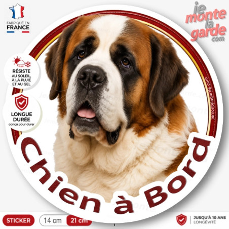 Sticker Saint-Bernard "Chien à bord" rond – autocollant voiture, van ou camping-car, fabriqué en France, résiste dehors