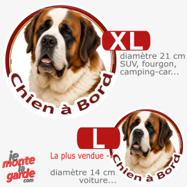 Saint-Bernard, sticker rond voiture photo "Chien à Bord" 2 Tailles