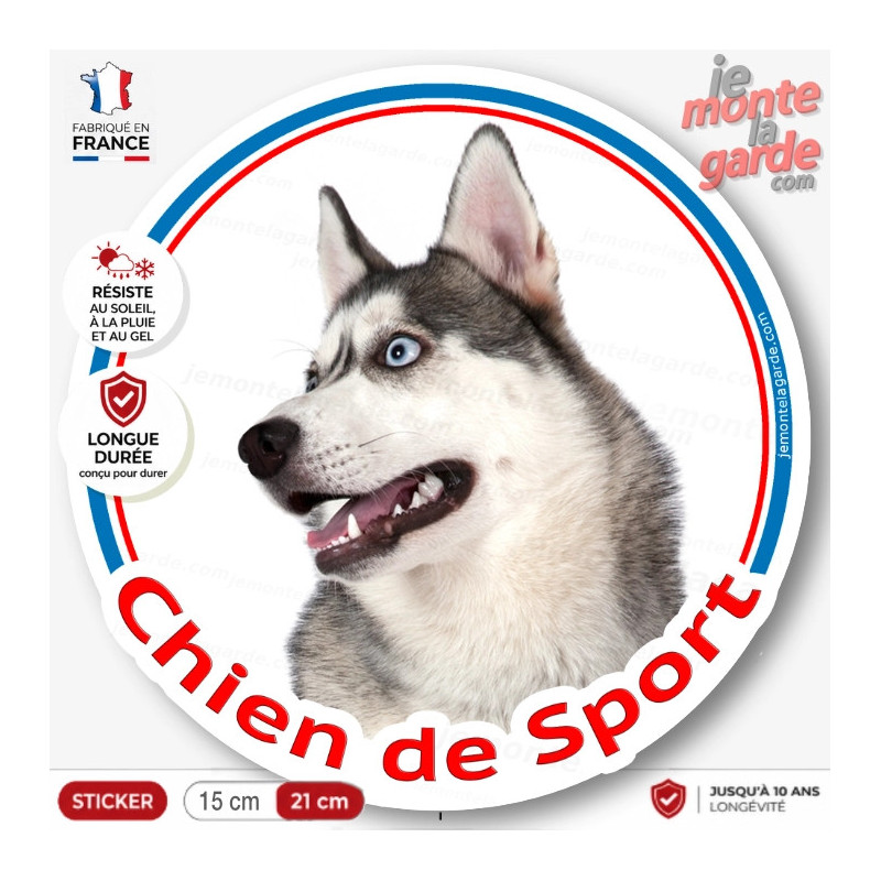 Siberian Husky gris Tête, sticker rond "Chien de Sport" disque intérieur ou Extérieur autocollant yeux bleus photo