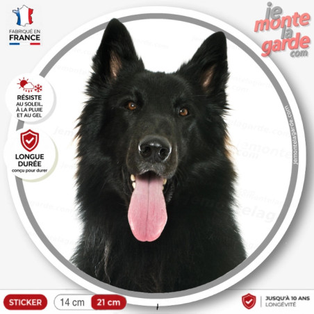 Berger Belge Groenendael, sticker rond "photo" disque adhési autocollant vitre voiture race chien noir, résiste pluie soleil gel