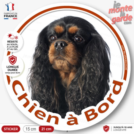 Cavalier King Charles noir et feu, sticker autocollant rond "Chien à Bord" Disque adhésif vitre voiture photo, résiste dehors