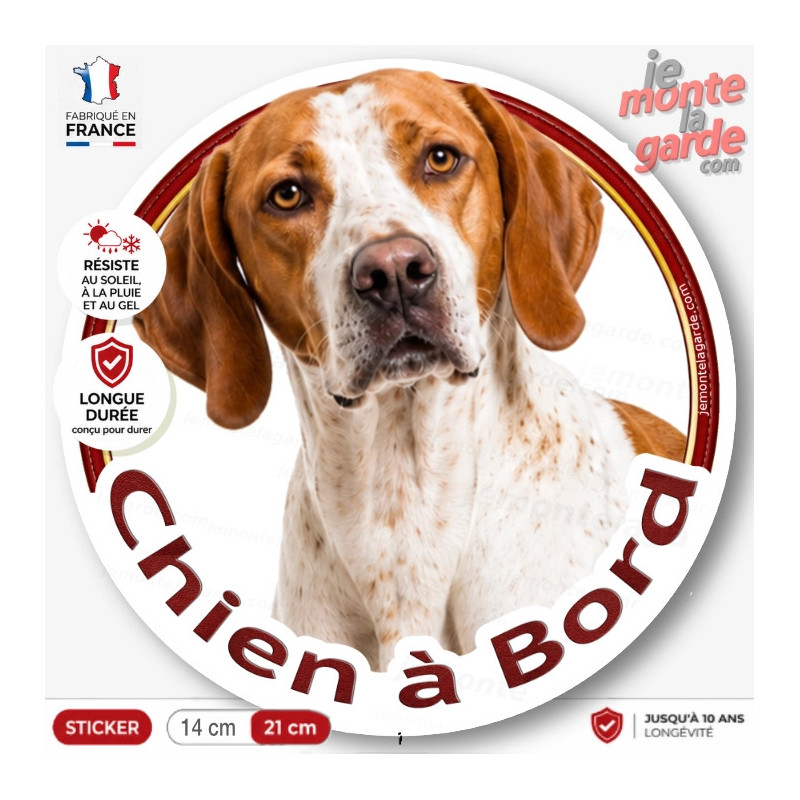 Sticker Pointer Anglais orange et blanc "Chien à bord" – autocollant extérieur pour voiture, van ou camping-car, résiste dehors