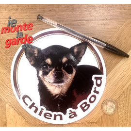 Chihuahua poils courts, sticker voiture photo "Chien à Bord" 2 Tailles