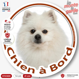 Spitz loulou complètement blanc, sticker autocollant rond "Chien à Bord" Disque adhésif vitre voiture photo, résiste dehors