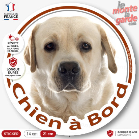 Labrador sable, disque autocollant "Chien à Bord" Disque photo ticker rond adhésif vitre voiture, résiste extérieur