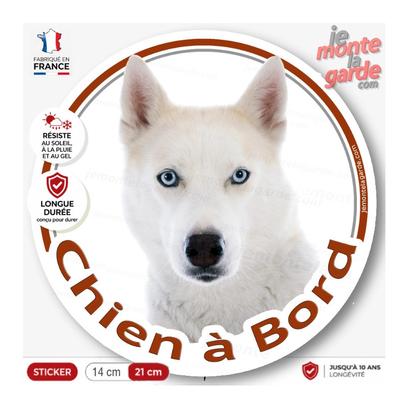 Husky Sibérien tout blanc yeux bleus, sticker autocollant rond "Chien à Bord" Disque adhésif vitre voiture photo, résiste dehors