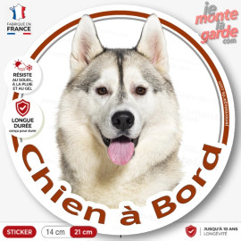 Husky Sibérien gris et blanc, sticker autocollant rond "Chien à Bord" Disque adhésif vitre voiture photo Huskies yeux marron