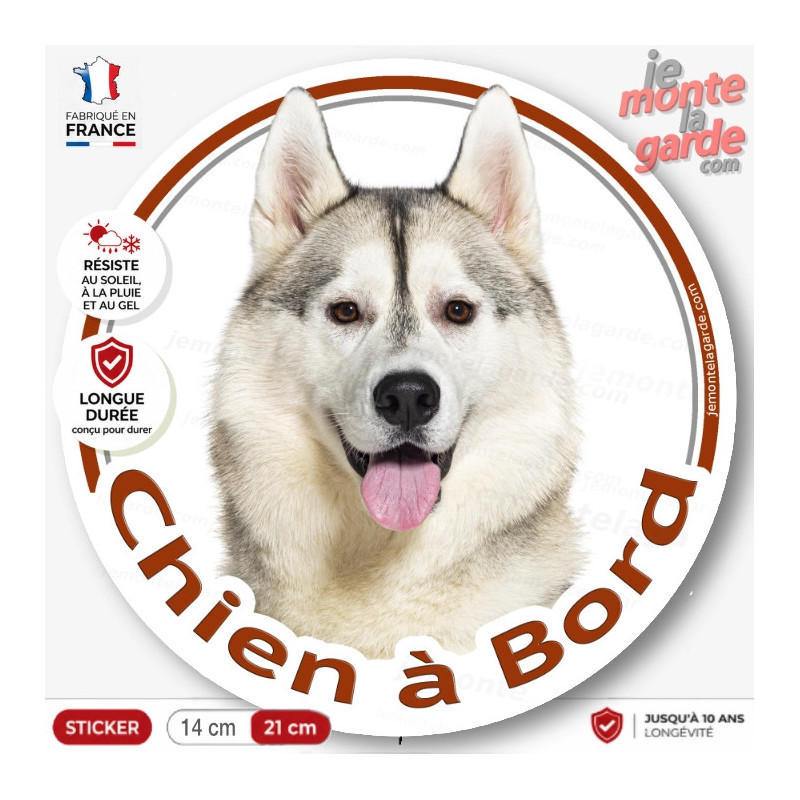 Husky Sibérien gris et blanc, sticker autocollant rond "Chien à Bord" Disque adhésif vitre voiture photo Huskies yeux marron