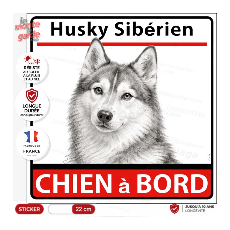 Autocollant "Husky Sibérien à Bord" en noir et blanc. Sticker adhésif vitre voiture, résiste pluie soleil gel, idée cadeau