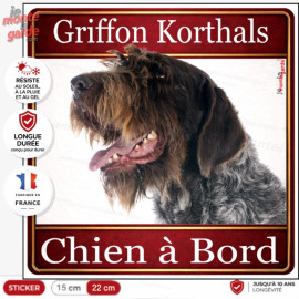 Griffon Korthals Tête, sticker carré "Chien à Bord" autocollant photo auto, adhésif vitre voiture, résiste À l'extérieur
