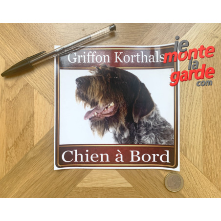 Griffon Korthals, sticker voiture photo carré "Chien à Bord" 2 Tailles
